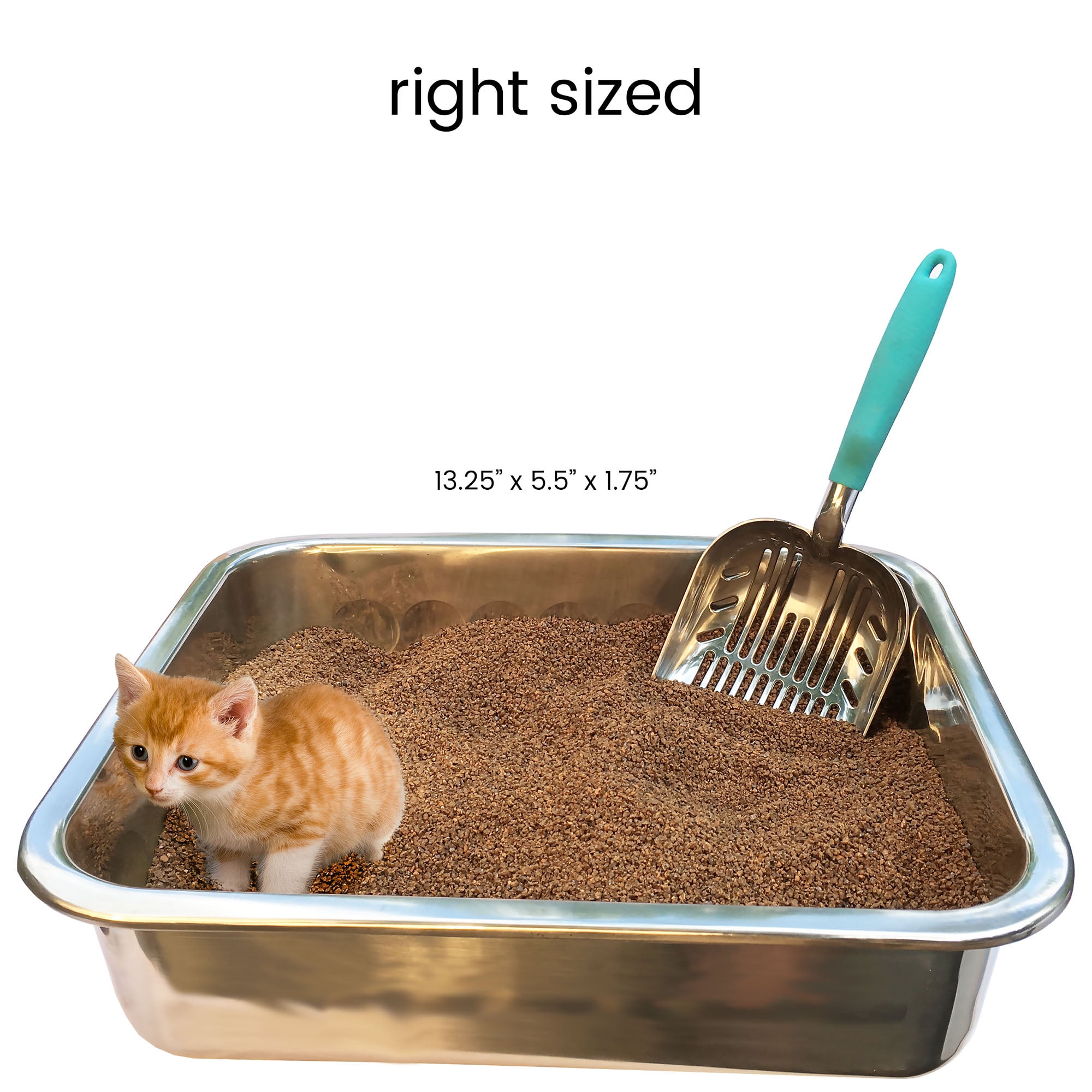 DuraScoop Metal Cat Litter Scoop