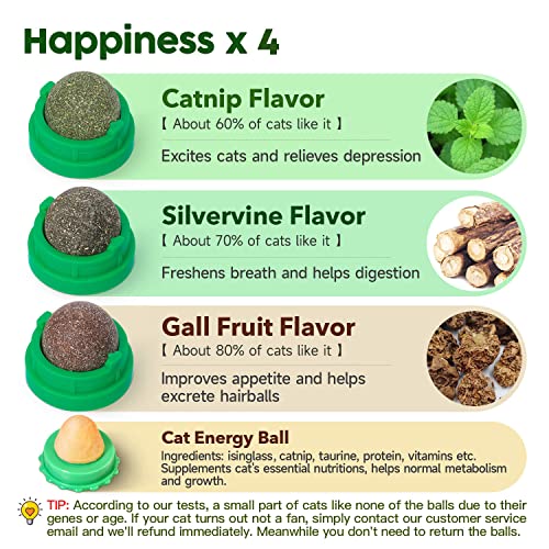 Silvervine Catnip Chew Balls for Healthy Cats