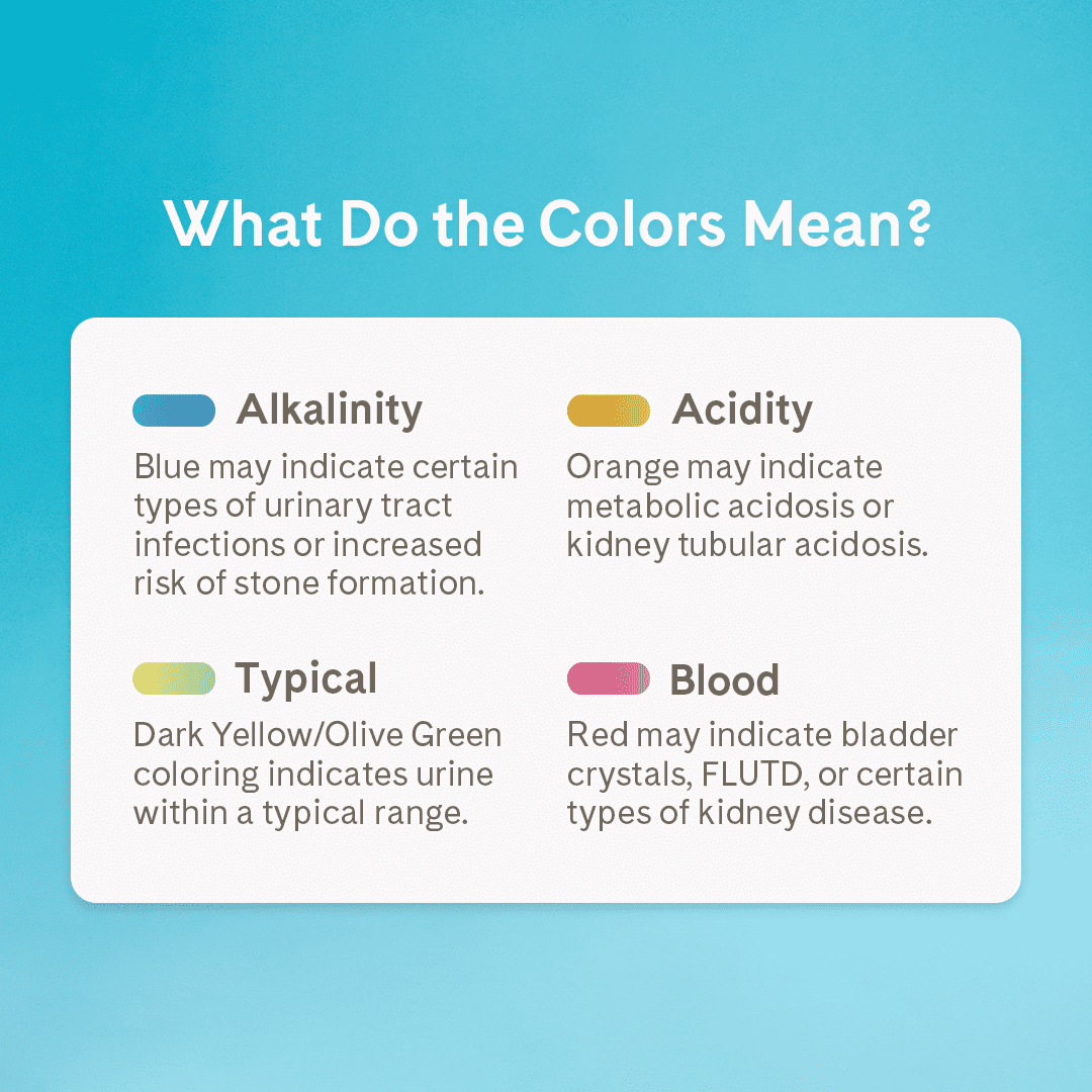 PrettyLitter 8lb Health Monitoring Cat Litter