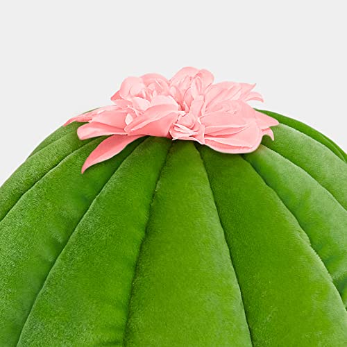 VETRESKA Cute Cactus Pet Bed for Cats and Dogs