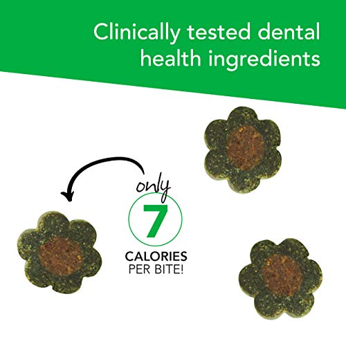 VetriScience Cat Dental Bites - Fresh Breath Chews