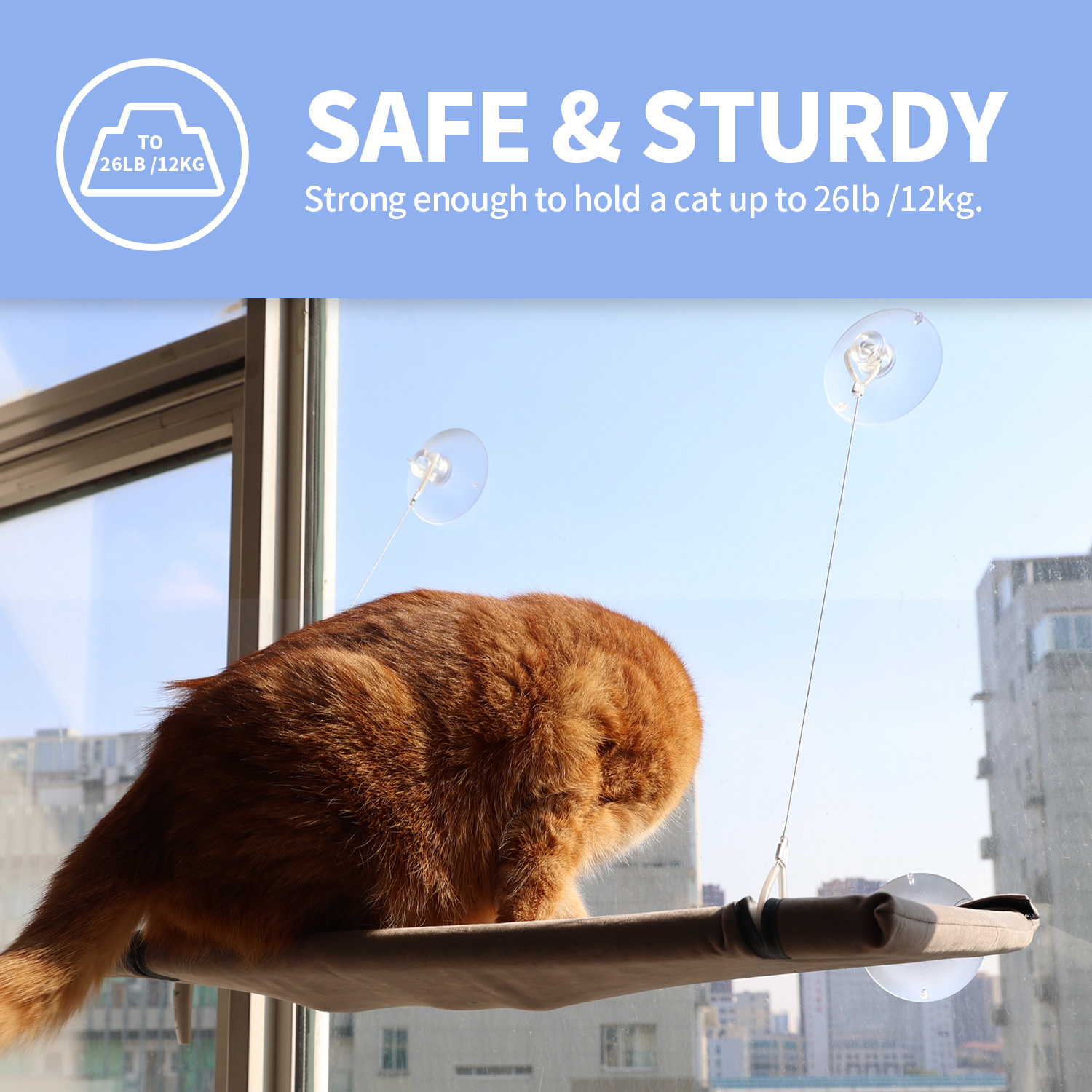 PAWISE Cat Window Hammock - Cozy Beige Perch