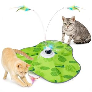 Toozey Electric Cat Toy with Remote Control