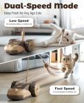 Interactive 3-in-1 Cat Toy with Moving Mouse