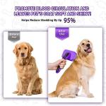 Self-Cleaning Slicker Brush for Cats and Dogs