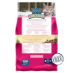 Blue Buffalo Wilderness Salmon Grain-Free Cat Food