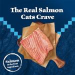 Blue Buffalo Wilderness Salmon Grain-Free Cat Food