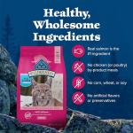 Blue Buffalo Wilderness Salmon Grain-Free Cat Food