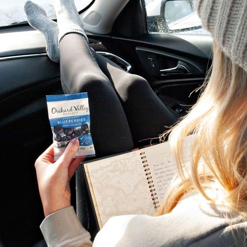 Dark Chocolate Covered Blueberries, Gluten-Free Treats