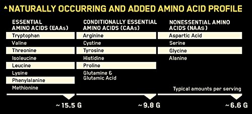 Optimum Nutrition Platinum Hydro Whey