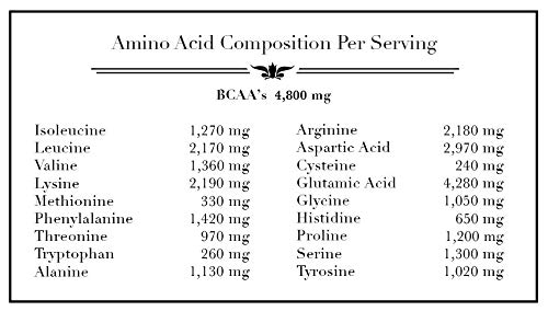 Organic Vegan Pea Protein Isolate - Unflavored - 2lbs