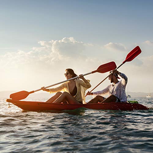 Designer Whey Protein Powder, Vanilla Almond, 1.9 Lb, Non GMO, Made in USA