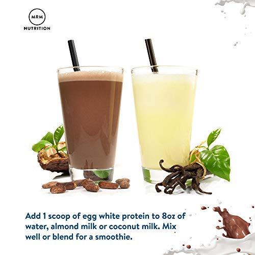 Vanilla Flavored Egg White Protein | 23g Fat-Free Protein | Digestive Enzymes | High Biological Value | Clinically Tested | 20 Servings