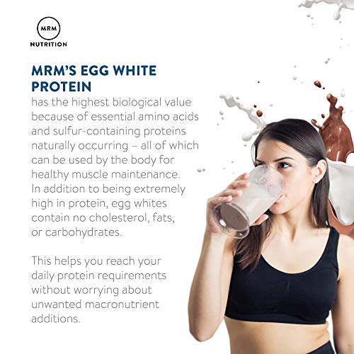 Vanilla Flavored Egg White Protein | 23g Fat-Free Protein | Digestive Enzymes | High Biological Value | Clinically Tested | 20 Servings