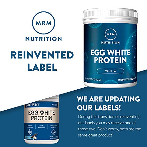 Vanilla Flavored Egg White Protein | 23g Fat-Free Protein | Digestive Enzymes | High Biological Value | Clinically Tested | 20 Servings