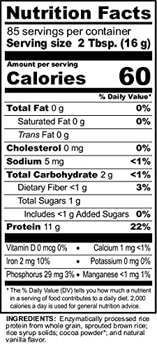 Nutribiotic Rice Protein, Chocolate, 3 Pounds