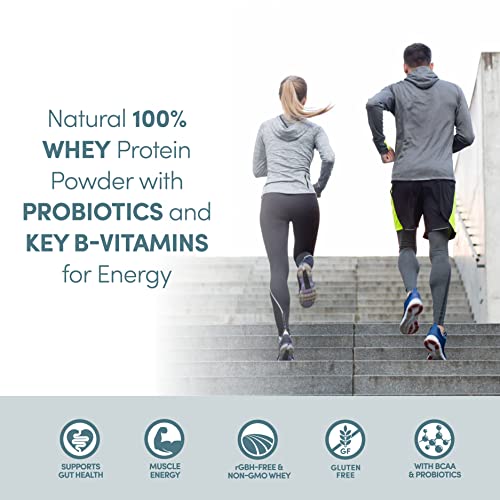 Designer Wellness Designer Whey Natural 100% Whey Protein Powder with Probiotics , Fiber, and Key B-Vitamins for Energy, Gluten-free, Non-GMO, Purely Unflavored 12 oz