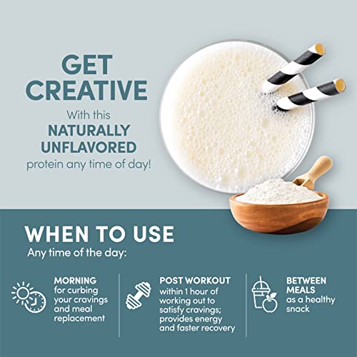 Designer Wellness Designer Whey Natural 100% Whey Protein Powder with Probiotics , Fiber, and Key B-Vitamins for Energy, Gluten-free, Non-GMO, Purely Unflavored 12 oz