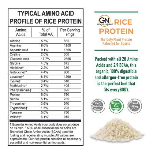 Growing Naturals | Original Rice Powder 15g Plant Protein | 2.8G BCAA, Low-Carb, Low-Sugar, Non-GMO, Vegan, Gluten-Free, Keto & Food Allergy Friendly | Original (1 Pound (Pack of 1))