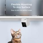 Petcube Cam | Wi-Fi Pet Monitor with App