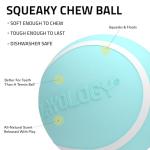 Playology Peanut Butter Scented Squeaky Fetch Ball