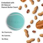 Playology Peanut Butter Scented Squeaky Fetch Ball