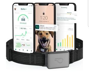 Whistle Switch GPS Dog Health & Fitness Tracker