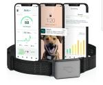 Whistle Switch GPS Dog Health & Fitness Tracker