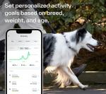 Whistle Switch GPS Dog Health & Fitness Tracker
