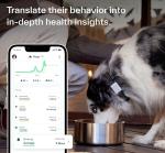 Whistle Switch GPS Dog Health & Fitness Tracker