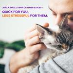 AlphaTrak 3 Pet Blood Glucose Monitoring Kit