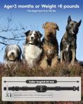 Electronic Dog Training Collar with Remote Control
