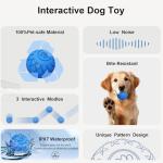 XINGZUAN Interactive Waterproof Dog Ball Toy