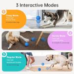 XINGZUAN Interactive Waterproof Dog Ball Toy