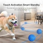 XINGZUAN Interactive Waterproof Dog Ball Toy