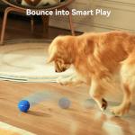 Cheerble Interactive Smart Dog Toy - Wicked Ball