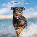 PATPET Remote Dog Training Collar with LED Light