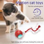 Chirping Interactive Cat Toy Ball for Indoor Fun