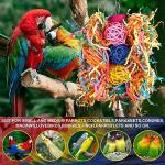 Colorful Bird Rope Perch with Bell and Toys