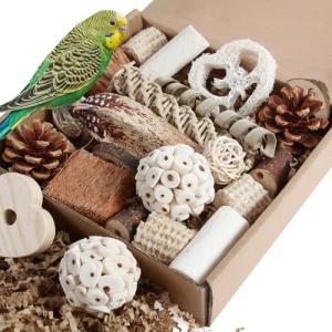 Natural Foraging Box for Small and Medium Birds