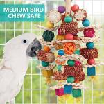 Natural Corn Cob Bird Toys for Small Parrots