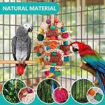 Natural Corn Cob Bird Toys for Small Parrots