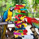 Extra Large Wood Bird Toys for Parrots