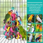 Colorful Foraging Chewy Rings for Small Birds
