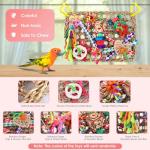 Colorful Foraging Wall Toy for Small Birds
