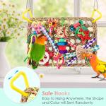 Colorful Foraging Wall Toy for Small Birds