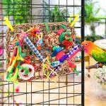 Colorful Foraging Wall Toy for Small Birds