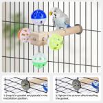 Rotating Ball Bird Stand Toy for Parakeets