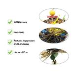 2 Pack Parrot Chewing Toy Set for Cage