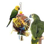 2 Pack Parrot Chewing Toy Set for Cage
